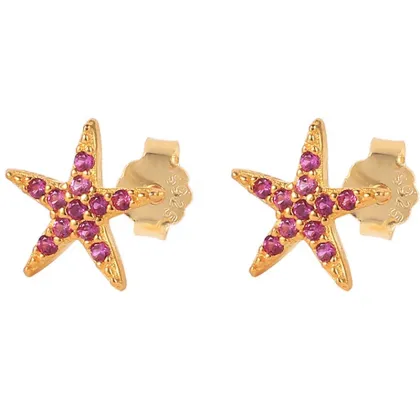 HYH S925 Sterling Silver Colorful Zircon Pentagram Stud Earrings