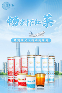 All-in-One-Tasse schwarzer Tee, praktischer, gebrauchsfertiger Big Tree Tea Chen Shenghong Changxiang Bei
