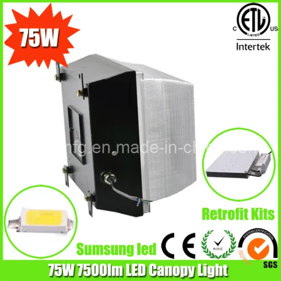 80W LED Canopy Light