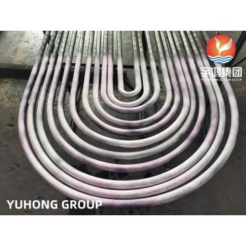 ASME SA213 TP310S Seamless U Bend Tube