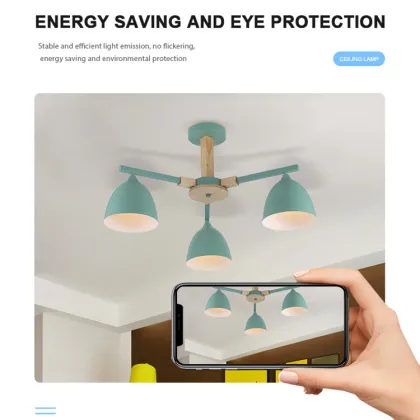 Modern Style Acrylic Iron Ceiling Light - New Arrival Creative Design Brand