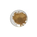 Alchemilla Vulgaris Extract powder