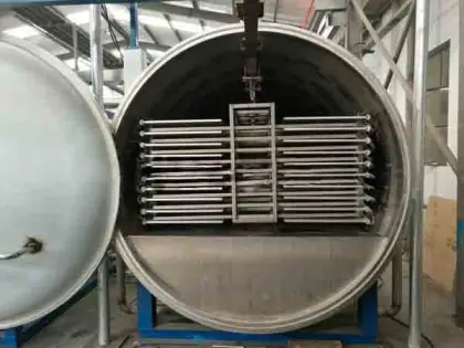 Lime vacuum freeze dryer