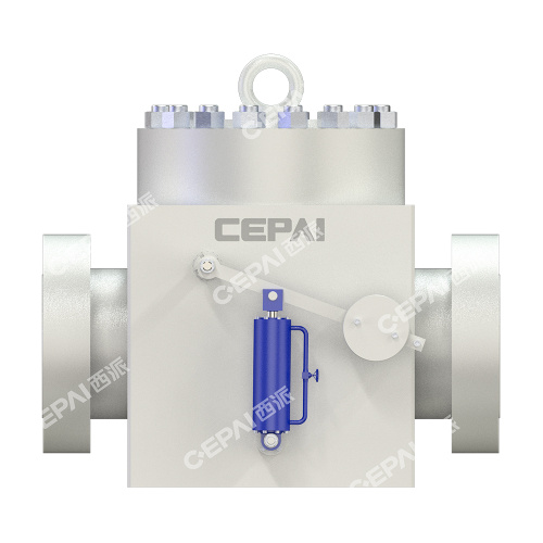 Swing check valve