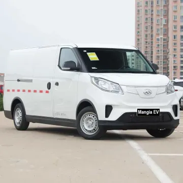 2023 Two Seater Adult Electric Car on Sale in China New Electric Trucks with Rechargeability