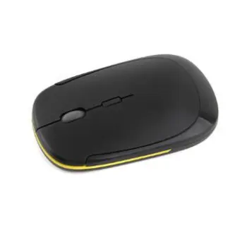 A computer mouse