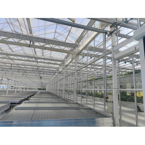 Seedling Raising Glass Greenhouse