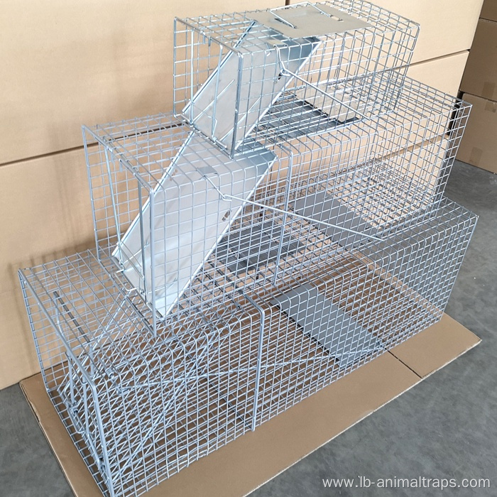 New Arrival Hot Sale of Animal Trap Cage