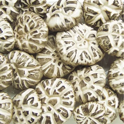 China Factory Price Delicious White Flower Shiitake Mushroom