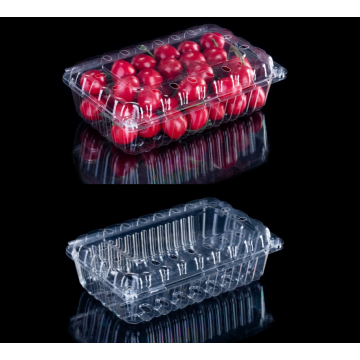 Fruit RPET plastic packaging box with ventilation holes