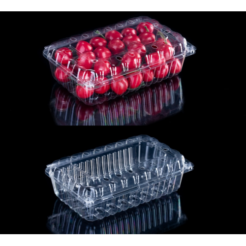 Fruit RPET plastic packaging box with ventilation holes