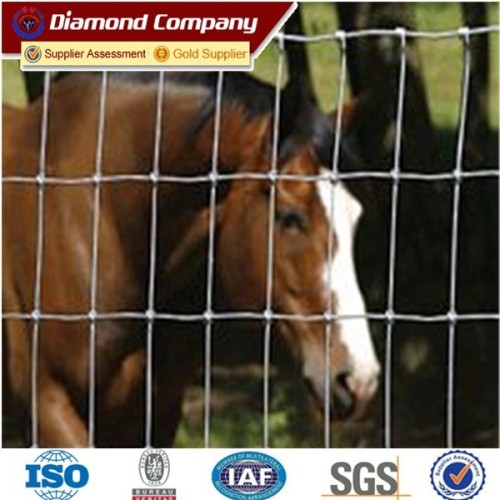 Precio de la cerca de acero del campo del diamante 2015 / precio de la cerca de la granja / cerca del caballo de la cerca escarpada de la cerca del ganado