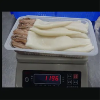 Frozen Todarodes Pacificus Squid Tubes And Tentacles