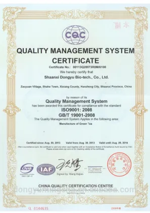 green tea recipe diet tea green tea for weight loss