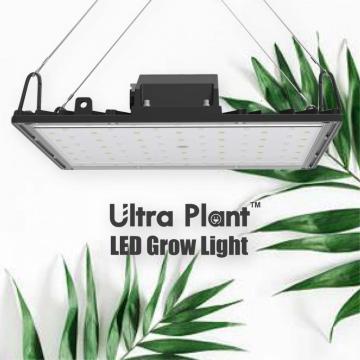 Nueva APP Control Full Spectrum UV Grow Light