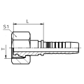 Metric Female 24 Degree Cone Fittings