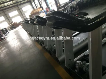 Professinal Treadmill for Body Building