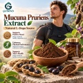 مستخلص Mucuna Pruriens مع 15%-99% L-Dopa للمكملات الغذائية وتطوير التركيبة