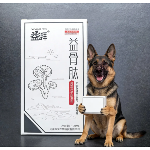 Nutrição para reabilitação ortopédica de animais de estimação