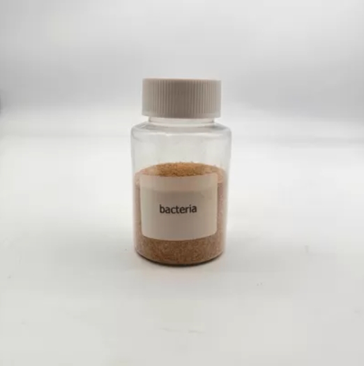 Braunpulver Bio -Bakterien für die Abwasserbehandlung