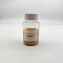 Barna por bio baktériumok szennyvízkezeléshez