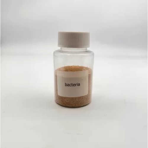 Braunpulver Bio -Bakterien für die Abwasserbehandlung