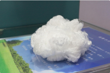 Lyocell Fiber