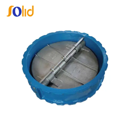 Cast Iron Retention Dual Plate Check Valve PN16