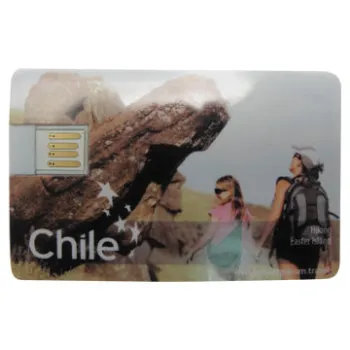 Business Card USB 2.0 Flash Drives, Can be Put in Wallet, Full Printing/1-16GB/Used as Promotional G