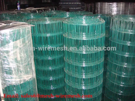 Welded Wire Mesh Galvanized In Roll