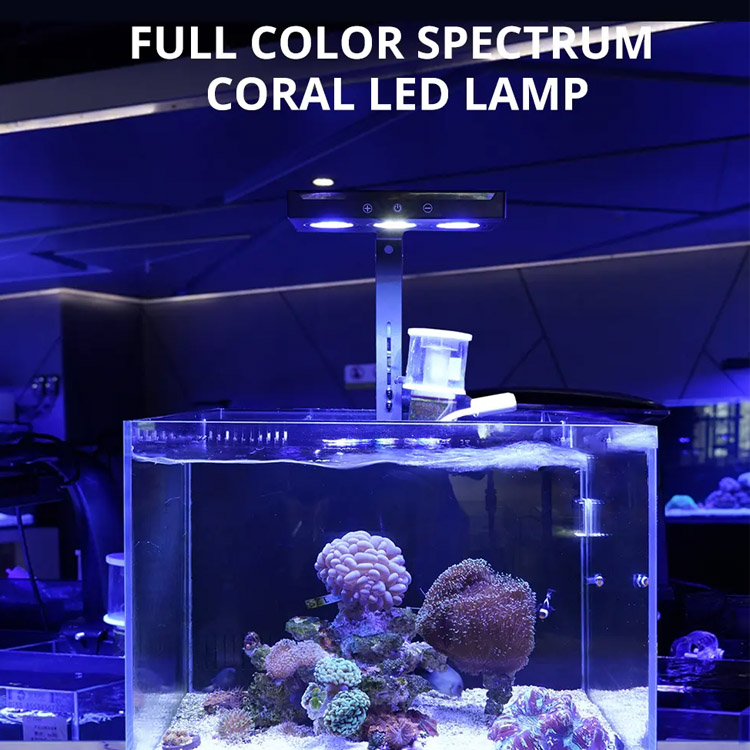 LED LED Aquarium Lamp