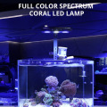 Lampe à aquarium de récif