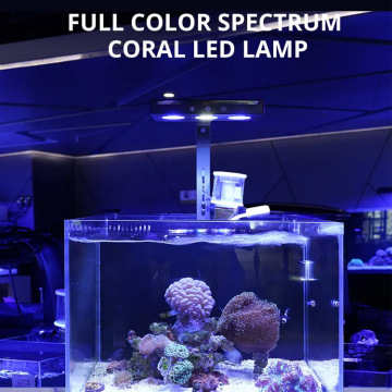 Lampa Aquarium Rafe Lampa