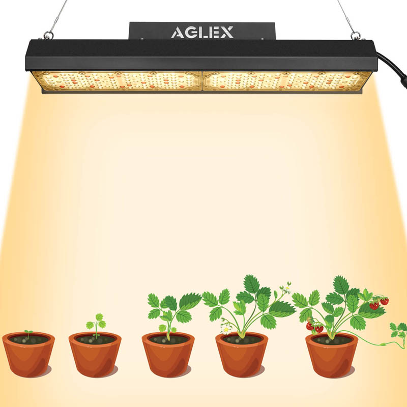 Liten LED Grow Light 2x4ft för inomhusväxter