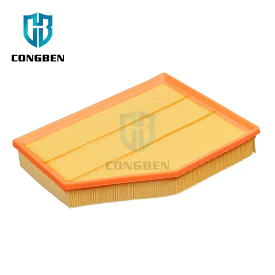 Car Racing Air Filter 13 71 7 521 033 13717521033 for BMW E60 E61 E63 E64 E86 E85 530i 630i