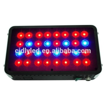 50w Cidly Artemis 2 greenhouse led grow light for hydroponic systems