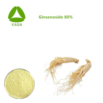 Nutritional Supplement Ginseng Extract Ginsenosides Powder