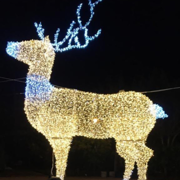 Motivo di cervo 3D a LED personalizzato Luce per il display natalizio all'aperto