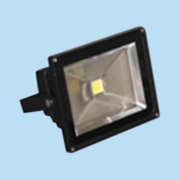 50W LED Floodlight