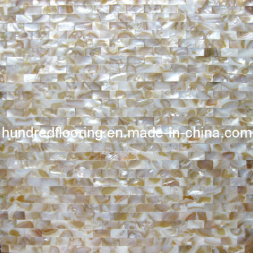 Shell Mosaic Mother of Pearl (HMP62)