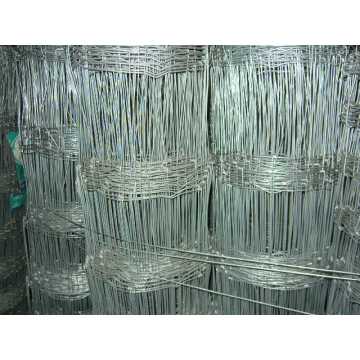 2.5mm hot dipped galvanized cattle filed fence