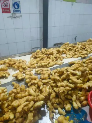 Class One Quality Ginger