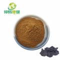 Cooked Rehmannia Root Extract Powder