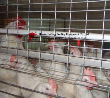 H-Type Breeder Parents Cages