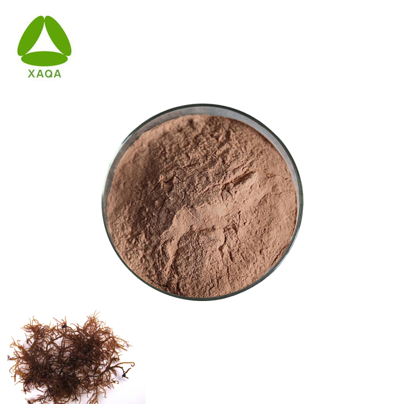 Cosmetic Mask Material Hypnea Musciformis Extract Powder