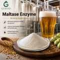 Enzima maltasa Hidrólisis de maltosa Elaboración de cerveza Panadería Procesamiento de almidón