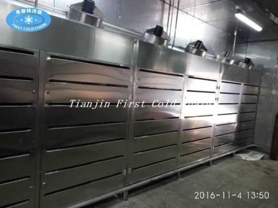 Low Temperature High Humidity Air Thawing Machine for Meat