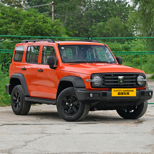 Cel mai popular Bonus de Anul Nou Offroad 5 locuri 4WD Big Tank 300 SUV hibrid pe benzină