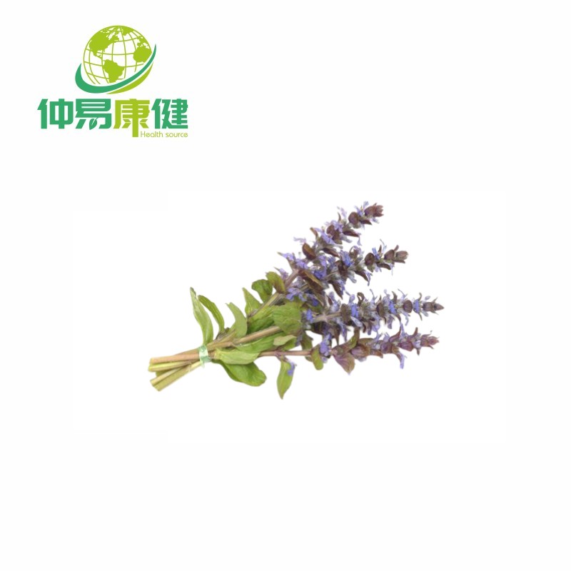 Pure Ajuga Turkestanica Extract