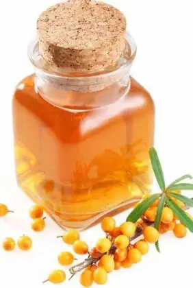 Plant Essential Oil sea buckthorn seed oil